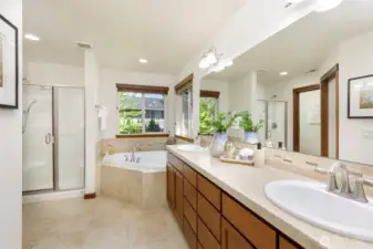 5-piece primary bath with walk-in closet