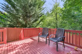 Back deck