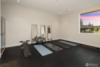 Fitness room with synthetic rubber flooring and Clearlight Infrared Sauna