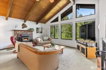 Vaulted Natural Wood Beamed Ceilings