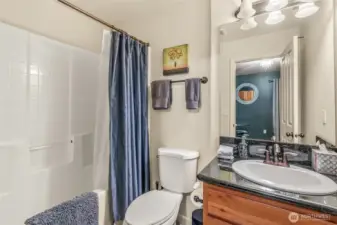 Lower bath with contemporary finishes and full tub/shower combo