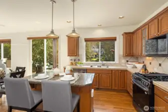 Enjoy an abundance of natural light from the oversized windows and slider to the backyard.