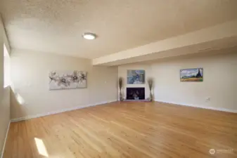 Huge basement recreation/bonus room with new vinyl plank flooring and fireplace.