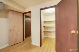 Basement bedroom with walk-in closet