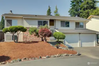 Super low maintenance yard with mature trees