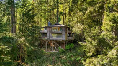 Back of house