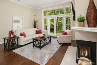Gas Fireplace