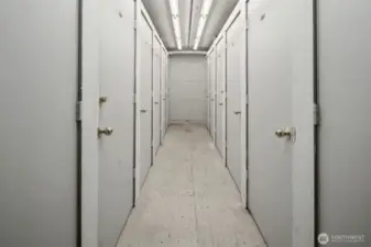 Storage Units in Garage