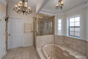 Primary Bath tub and Shower