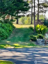 Path to beach through pines, just across the street (Ocean Beach Blvd)