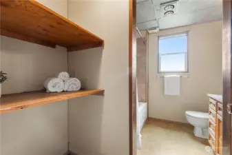 Downstairs bathroom with extra storage