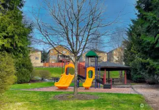 Community Playground