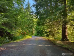 Welcome to Your Future Home - Fully Paved Entrance
