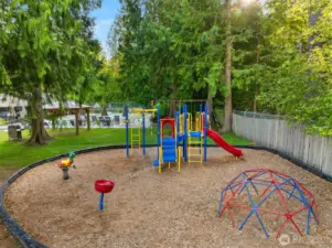 Community Park