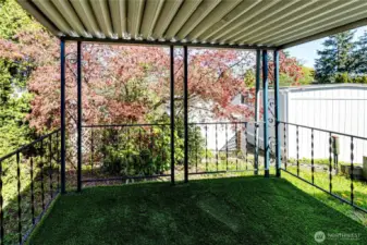 The covered back deck.