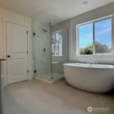 Spa-style freestanding tub in Primary Bath.