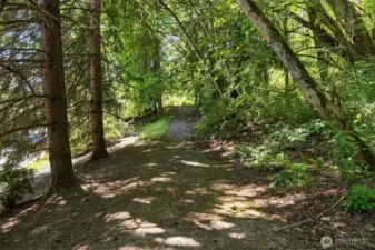 One of the trails behind the complex. Can you believe this is just a few minutes drive to downtown Bothell and Wayne Park?