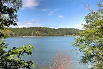 View from Deck