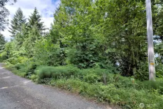 Beaver Lane