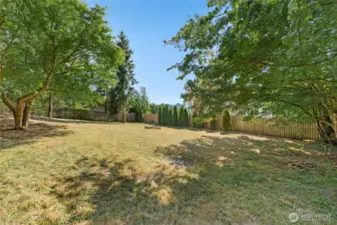 So much space to roam, perhaps build a large garden, or DADU?