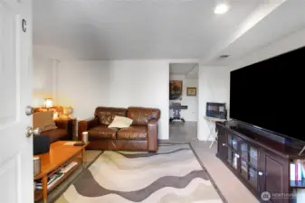 Basement living room