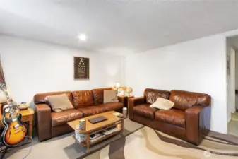 Basement living room view 3