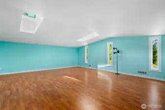 Skylights in Bonus Room create a light and bright space with endless options.