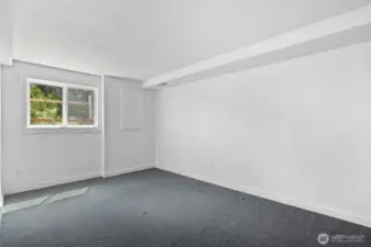 Lower Level Bedroolm.