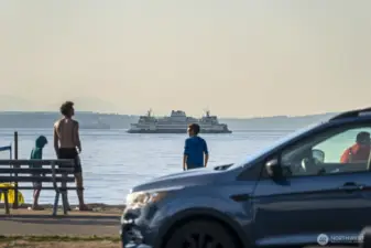 Stroll the boardwalk and take in ferries, marine life, and beautiful sunsets