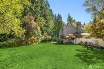 The Adirondak chairs provide perspective as to how large the backyard is!