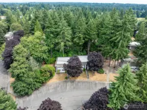 Aerial View.