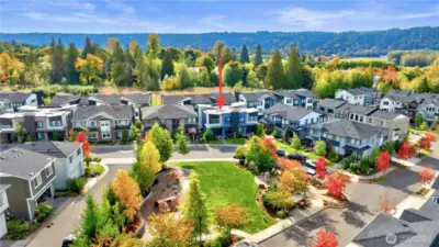 Excellent location, close to Microsoft shuttle stop, walking distance to grocery & amenities!