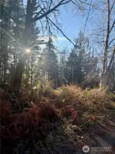 View of property from the road