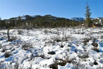 View looking toward Left Fork Wolf Creek Road and Sun Mtn.