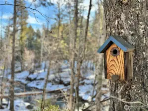 Wolf Creek Property Owners Association Community Park