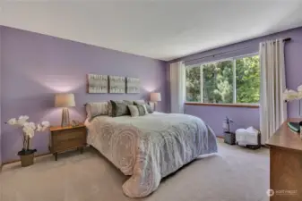 Large primary bedroom with window facing the backyard. Very serene and private.