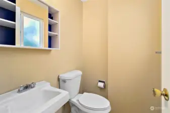 Lower level bathroom.