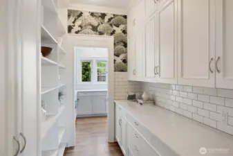 The most amazing private pantry behind the kitchen.