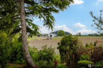 Farm field out the back deck