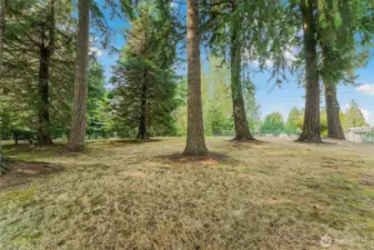 View from the back of the lot looking towards the street.