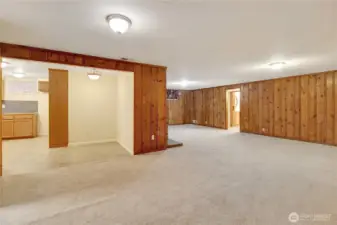 Downstairs bonus room