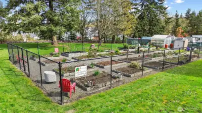 Another view of the community garden.