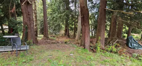 Partially cleared and surveyed. Water share paid
