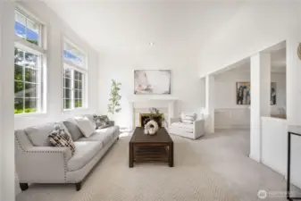 Light-filled bright and cozy living room