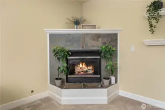 Cozy gas fireplace