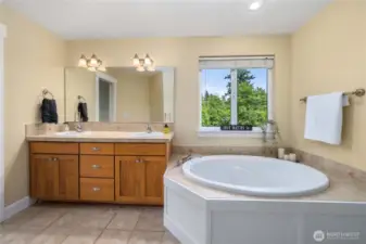 Soaking tub with amazing views of the nature right outside your window