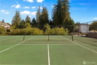 Play at the sports court just one block away.