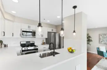 Brand new kitchen cabinets with slab quartz counters and undermount sink.