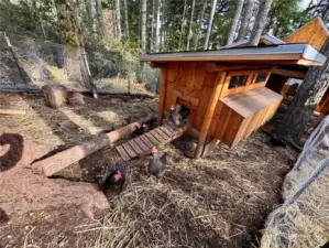 Charming chicken coop for fresh eggs.