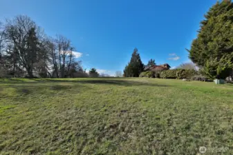 Plenty of space for a main house, a guest house and maybe even a dream shop?